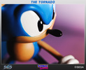 фотография Sonic The Hedgehog & Miles Tails Prower The Tornado