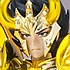 Saint Cloth Myth EX Capricorn Shura God Cloth Ver.