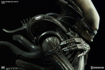 фотография Alien Internecivus raptus Statue