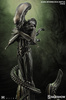 фотография Alien Internecivus raptus Statue