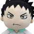 Haikyuu!! Deformed Plushie: Iwaizumi Hajime