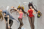 фотография B-style Shinonono Houki Bunny Ver.