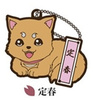 фотография Gintama Nippon Mukashibanashi Series Rubber Mascot: Sadaharu