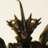 Collect 500 GUYVER THE BIOBOOSTED ARMOR TRADING FIGURE #1: Gigantic Dark