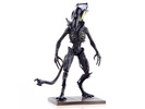 фотография Aliens Spitter