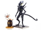 фотография Aliens Spitter
