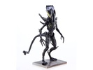 фотография Aliens Spitter