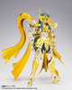 фотография Saint Cloth Myth EX Aquarius Camus God Cloth Ver.