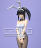 фотография Gathering Takane Manaka Bunny