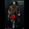 фотография My Favorite Movie Series Rubeus Hagrid Deluxe Ver. 