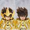 фотография Saint Seiya Daizenshuu Sagittarius Seiya