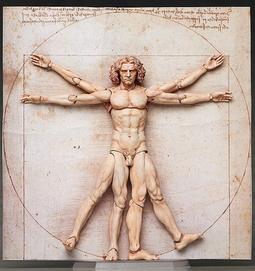 главная фотография figma Vitruvian Man