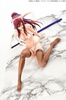 фотография Erza Scarlet White Cat Gravure Style Ver.