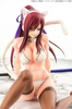 фотография Erza Scarlet White Cat Gravure Style Ver.