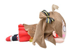 фотография Love Live! Jumbo Nesoberi Plush Kotori Minami SUNNY DAY SONG