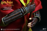 фотография My Favorite Movie Series Harry Potter Quidditch Ver.
