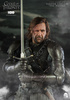 фотография Sandor Clegane