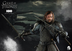 фотография Sandor Clegane