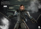фотография Sandor Clegane
