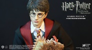 фотография My Favorite Movie Series Harry Potter Teenage Ver.