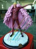 фотография Donquixote Doflamingo