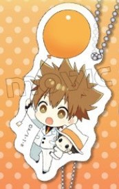 главная фотография Katekyo Hitman REBORN! Acrylic Keychain Collection: Sawada Tsunayoshi & Reborn