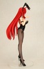 фотография Rias Gremory Bunny Ver.