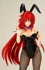 фотография Rias Gremory Bunny Ver.