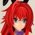 Rias Gremory Bunny Ver.