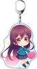 фотография Zutto Mae Kara Suki Deshita: Kokuhaku Jikkou Iinkai Deka Keychain: Akari Hayasaka