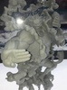 фотография Portrait Of Pirates SA-MAXIMUM Monkey D. Luffy Gear Fourth Boundman Ver.