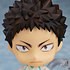 Nendoroid Iwaizumi Hajime