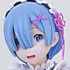 FIGUREX Rem