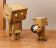 фотография Danboard Amazon JP ver.
