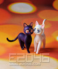 фотография Luna & Artemis