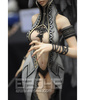фотография Dark Elf Gatekeeper