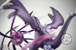 фотография KFS Lugia Shadow Edition