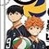 Haikyuu!! Mini Nobori Mascot Part.2: Hinata Shouyou and Kageyama Tobio