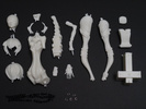фотография Ayanami Rei Doll(s)