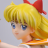 Gathering Super Sailor Venus