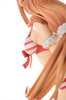 фотография Asuna Swimsuit Ver. Premium