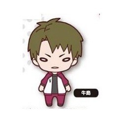 главная фотография Nitotan Haikyuu!! Ooki Nuigurumi: Ushijima Wakatoshi