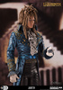 фотография Color Tops #33 Jareth the Goblin King