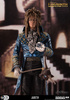 фотография Color Tops #33 Jareth the Goblin King