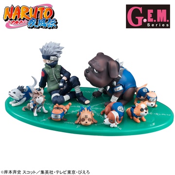 главная фотография Hatake Kakashi with ninja dogs