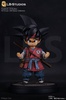 фотография LBSR001 KID GOKU