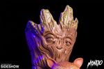 фотография Rocket and Groot Treehugger