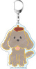 фотография Yuri on Ice x Sanrio Characters Deka Keychain: Makkachin Stamp Rally ver.