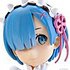 PM Figure Rem