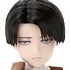 Asterisk Collection Series 013 Levi